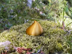 「3個セット」原寸大 Nintendo 任天堂 ゼルダの伝説 コログの実 ティアーズオブキングダムブレスオブザワイルド