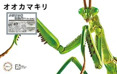 2025年最新】ゴールドカマキリの人気アイテム - メルカリ
