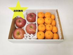 りんご（サンふじ）×4玉・中島みかん（S～Lサイズ）約1.7㎏　旬の果物　御歳暮