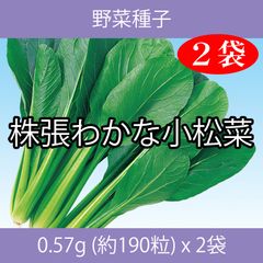 野菜種子 EBU 株張わかな小松菜 0.57g(約190粒) x 2袋