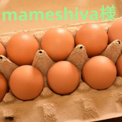 mameshiba様専用 訳あり卵40個
