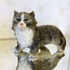 サイズ3 ウィンスタンレイキャット ケンジントンキャット サバトラ猫