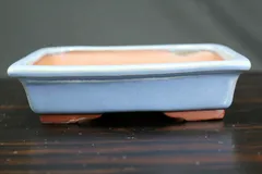 2026年最新】盆栽鉢 常滑の人気アイテム - メルカリ