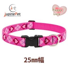 パピーラブ柄　ワンタッチ首輪　25mm幅　大型犬向け　アメリカ製　アメリカ直輸入　LUPINE ルパイン　軽量　丈夫Flower