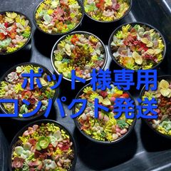 ポット様専用