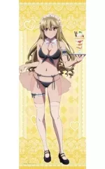 ストライク・ザ・ブラッド　FINAL タペストリー　8点セット ストライク・ザ・ブラッド FINAL タペストリー 8点セット