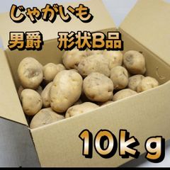 A-STYLE 自家栽培 じゃがいも 男爵芋 形状B品 10ｋｇ「ショップアカウントではゆうゆうメルカリ便で送れないため沖縄への発送は出来かねます、個人アカウントよりご購入頂けましたら発送可能ですので出品いたしましたらそちらよりよろしくお願いいたします。」
