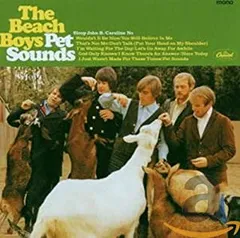 2025年最新】Beach Boys Petの人気アイテム - メルカリ