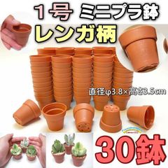 ミニプラ鉢に特化した品揃え！-1号鉢ミニプラ鉢[レンガ柄/レンガ模様]30鉢＊1寸鉢＊多肉植物・塊根植物コーデックス・アガベ・サボテン・盆栽・観葉・ハオルチア・アデニウム・パキポディウム・実生＠フラワーショップ江口