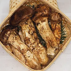 北海道　松茸　350g　② 松茸 北海道 350g 送料込 - メルカリ