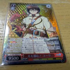 光を掴む！ユーリ SP ヴァイスシュバルツ