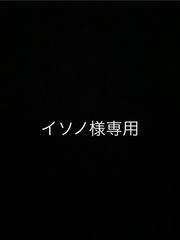 イソノ様専用