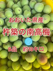 2025年最新】南高梅10キロの人気アイテム - メルカリ