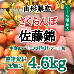【4.6kg・クール便】山形県産 さくらんぼ 佐藤錦 2.3kg 2箱 お裾分け たっぷり量