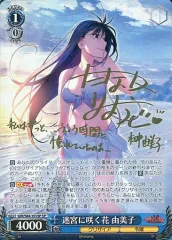 日本最大の 2025年最新】迷宮に咲く花 由美子の人気アイテム メルカリ - ヴァイスシュヴァルツ