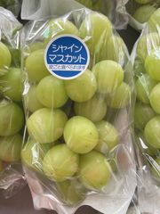山梨県産　ブドウ(シャインマスカット、ピオーネ)  B級品２キロ