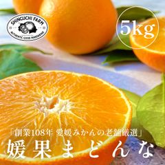 愛媛みかんの老舗厳選 媛果まどんな 5kg 【送料無料】紅まどんなと同品種 農家直送 創業108年 愛媛みかん の老舗 新口農園「予約商品：11月下旬より順次発送」