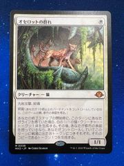 【 MTG 】  オセロットの群れ　モダンホライゾン３