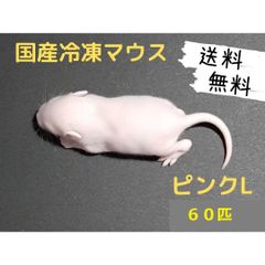 国産 冷凍マウス ピンクL 100匹 (北海道沖縄発送可) - メルカリ