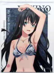 2026年最新】雪ノ下雪乃 タペストリーの人気アイテム - メルカリ