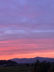 ポケモンカード ゲッコウガ XY 027/171 さいとうなおき - メルカリ