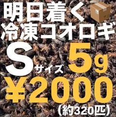 明日着く　冷凍コオロギ　Ｓサイズ5g 1㎝前後　320匹程度のサムネイル