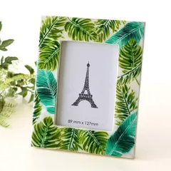 2025年最新】フィリピン 貝の人気アイテム - メルカリ