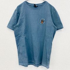 古着 used　CAYLER　ケイラー　半袖ワンポイント刺繍Tシャツ　バックプリント　レトロデザイン　青　ブルー　Mサイズ