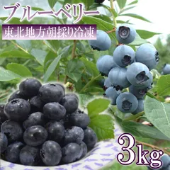 ブルーベリー 3kg 東北産 冷凍 産地直送 天然サプリ 美容 健康 アントシアニン ヨーグルト アイス ジャムのサムネイル