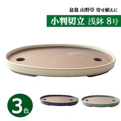 【未使用】 盆栽鉢 陶器 8号 小判切立浅 おしゃれ 専門店 白 青 緑 四日市萬古焼 浅型 大型 中型 寄せ植え 約27センチ 植木鉢 うめきち盆栽用品店