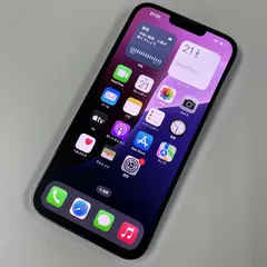 docomo iPhone 13 Pro Max 1TB シエラブルー