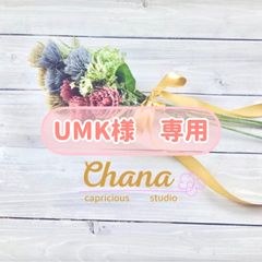 ラミネート  花柄テントポーチ(小)