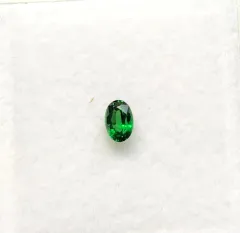 宝石⚜️ルース》極美品☆希少✳️天然ツァボライト☆1.607ct 鑑別付-