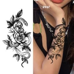 Item thumbnail for item 6424d5ca-fe38-41ae-b9bb-96b5f5fe3469