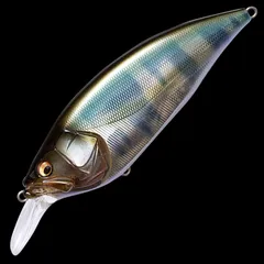 新品 KLASH9 Low 琵琶銀ハス DRT】KLASH9 Low #DRT BASS #BIWASAGI #琵琶銀ハス #ハス