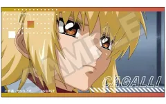 【中古】シール・ステッカー B.カガリ・ユラ・アスハ ステッカー vol.3 「機動戦士ガンダムSEED DESTINY」