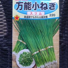 未開封＜野菜の種＞万能小ねぎ スリム 　7ｍｌ　ネギの種