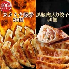 《黒豚肉入り餃子50個 スタミナ餃子50個セット》一龍堂 餃子  ※北海道・沖縄・離島発送不可