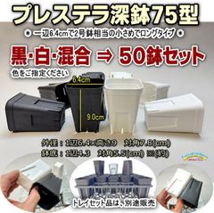 平日＊日中注文即日発送-プレステラ深鉢75(スリットポット/スリット鉢2号深鉢相当)-黒・白・混色⇒50鉢セット販売＊多肉植物・塊根植物コーデックス・アガベ・サボテン・観葉・ハオルチア・アデニウム・パキポディウム・ジュエルオーキッド・実生＠フラワーショップ江口