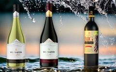 ネパールワインSyrah (Vintage 2021)1ケース12本入り ネパールワインSyrah (Vintage 2021)1ケース12本入り ネパール