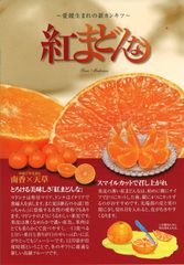 紅まどんな　化粧箱　Lサイズ