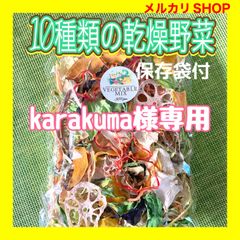 【karakuma様専用】10種類の乾燥野菜100g