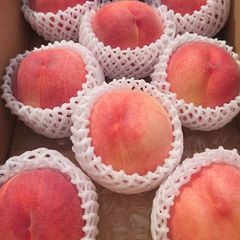 長野県産 桃 8玉 甘くて美味しい💕