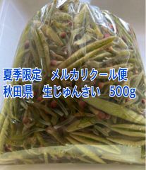 【クール便】秋田県　生じゅんさい　500g