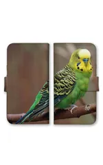 iPhoneSE 第3世代 第2世代 ケース 手帳型 アイフォンSE スマホケース 携帯ケース インコ 文鳥 桜文鳥 セキセイインコ 鳥 小さい 可愛い かわいい 写真 カラー06のサムネイル