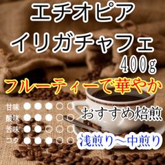 北海道稚内産ニンニクの芽500g 除草剤・農薬不使用 - メルカリShops