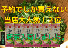 新茶入荷しました‼︎!全国  新茶 八十八夜 母の日 お茶   緑茶　健康　訳あり　くまもと茶あらづくり　100ｇ×6袋 メール便ギフト
