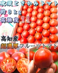 高知県夜須産 高糖度 夜須のフルーツトマト ”とさかみトマト” 約3kg ご家庭用 暑中見舞 残暑見舞 贈答用 還暦祝 新築祝 御供のサムネイル