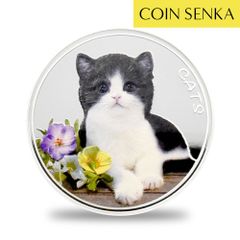 フィジー 2022 猫シリーズ第二弾 50セント1オンスカラー銀貨 未鑑定 m3009