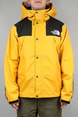 ㉘THE NORTH FACE｜ノースフェイス GORE-TEX マウンテンパーカー マウンテンライトジャケット